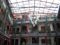 2009 China 502
